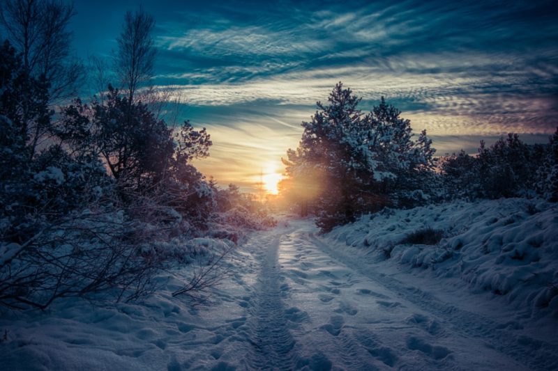 Langa del Sole Natale