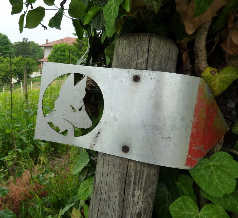 Sul Sentiero del Lupo a Montelupo Albese