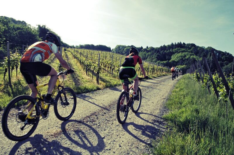 BarToBar, dalla vigna al bosco. L’emozione delle Langhe in unico percorso